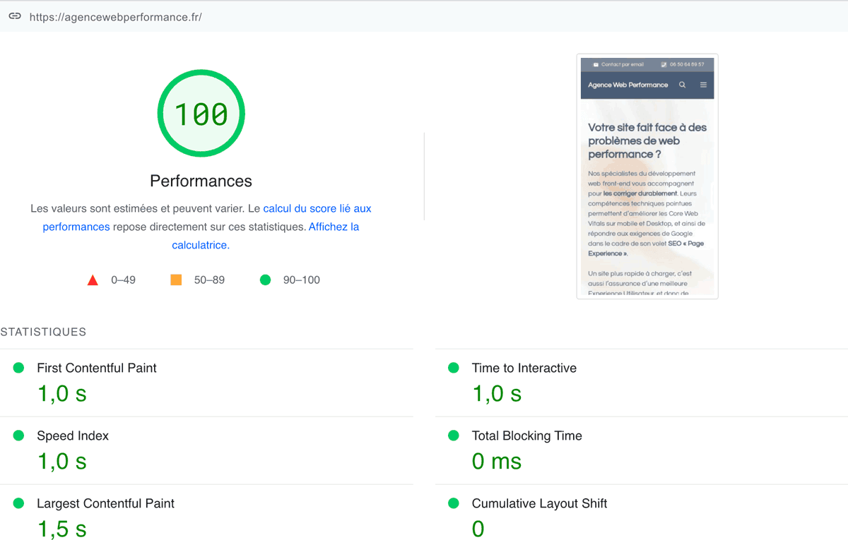 Rapport Page Speed Insights de notre site. 100% en Speed Index et signaux Web essentiels au vert !